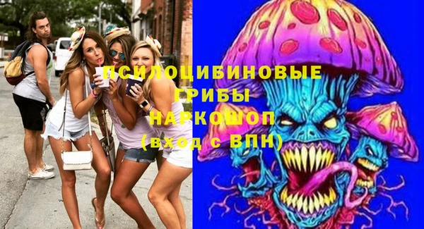 соль курить ск Белокуриха