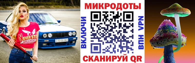 Галлюциногенные грибы Psilocybe Боготол